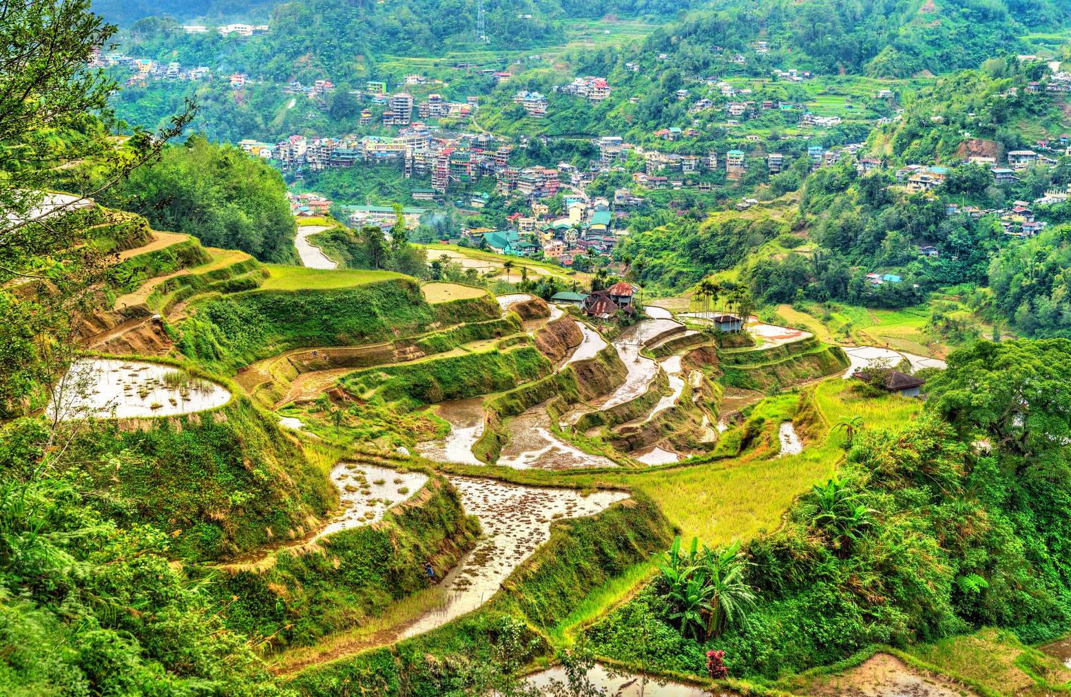 Banaue Rice Terraces - Northern Luzon, UNESCO World Heritage in Philippines.